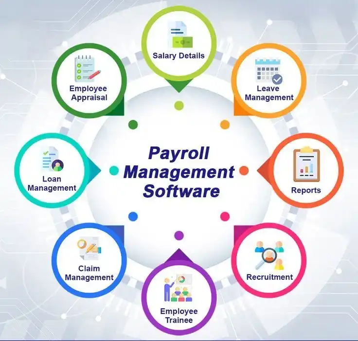 Payroll Software Rhizome